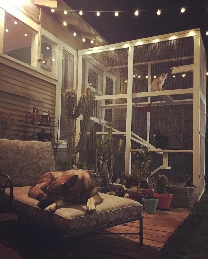 Cat Patios, Known As Catios, Are The Latest Way To Spoil Your Beloved Kitty (30 Pics)