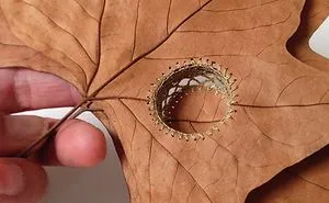Crocheter Uses Her Skills To Turn Dried Leaves Into Works Of Art (30 Pics)