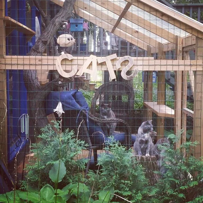 Cat Patios, Known As Catios, Are The Latest Way To Spoil Your Beloved Kitty (30 Pics)