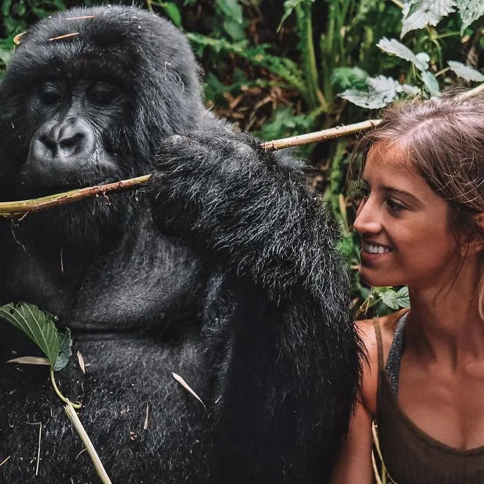 Parque Nacional De Los Volcanes, Rwanda
