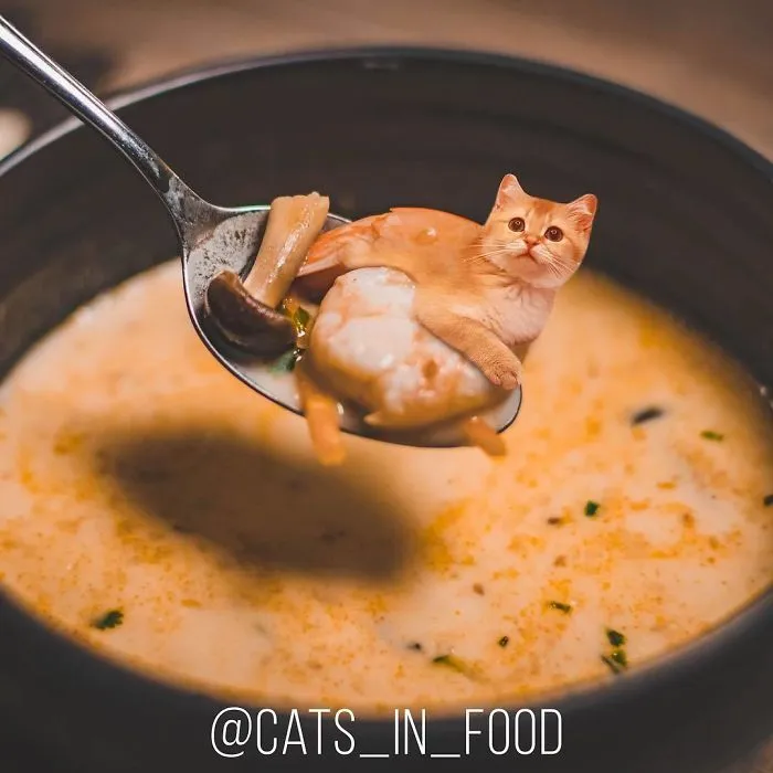 I Photoshop Two Of The Best Things In The World Together - Cats And Food (30 New Pics)