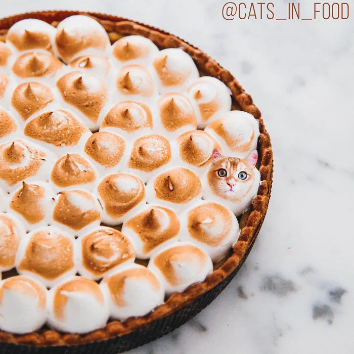I Photoshop Two Of The Best Things In The World Together - Cats And Food (30 New Pics)