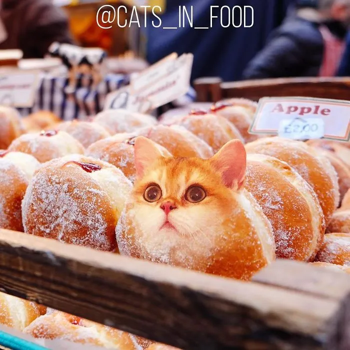 I Photoshop Two Of The Best Things In The World Together - Cats And Food (30 New Pics)