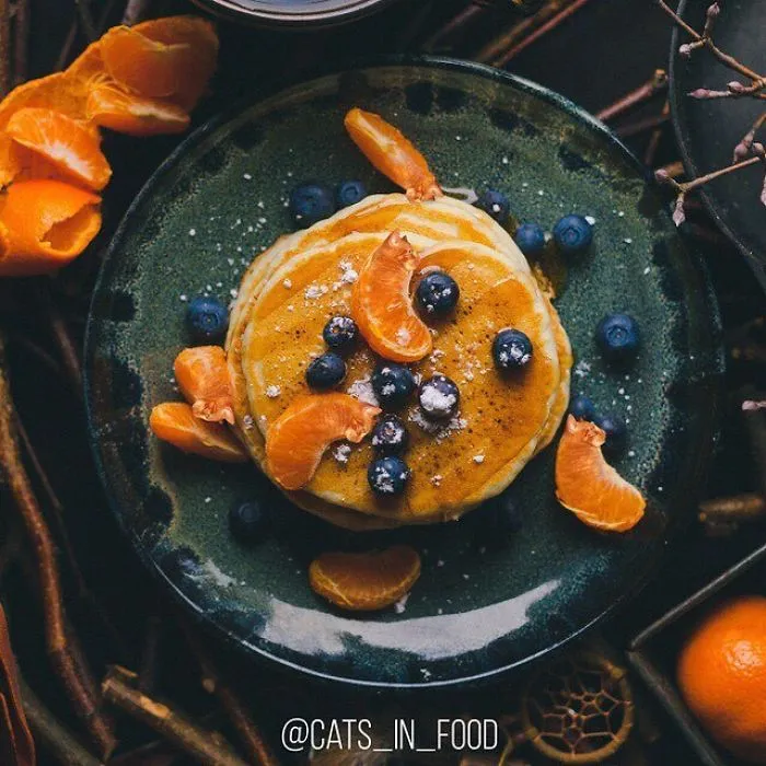 I Photoshop Two Of The Best Things In The World Together - Cats And Food (30 New Pics)