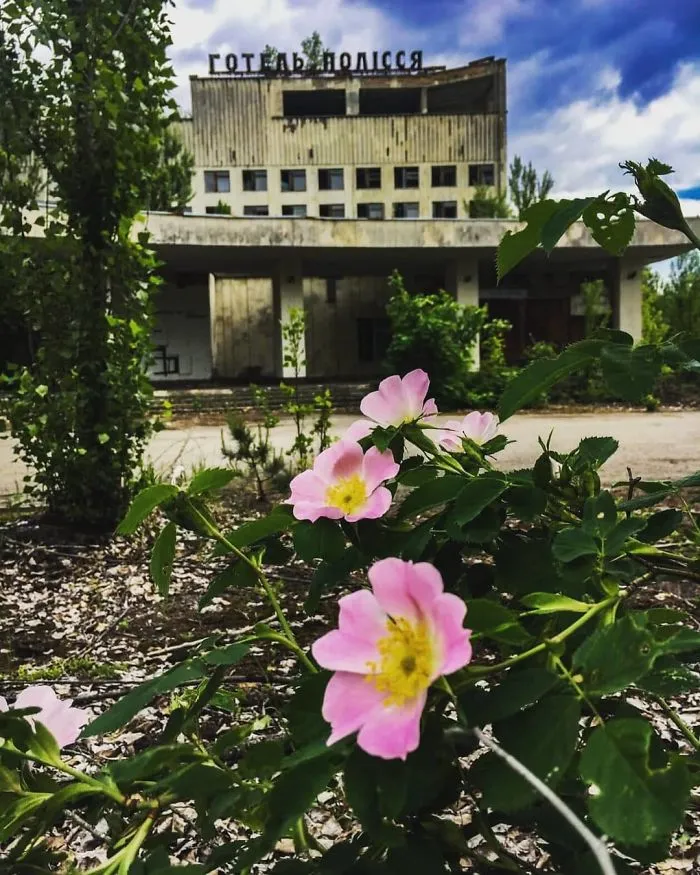 May 2019