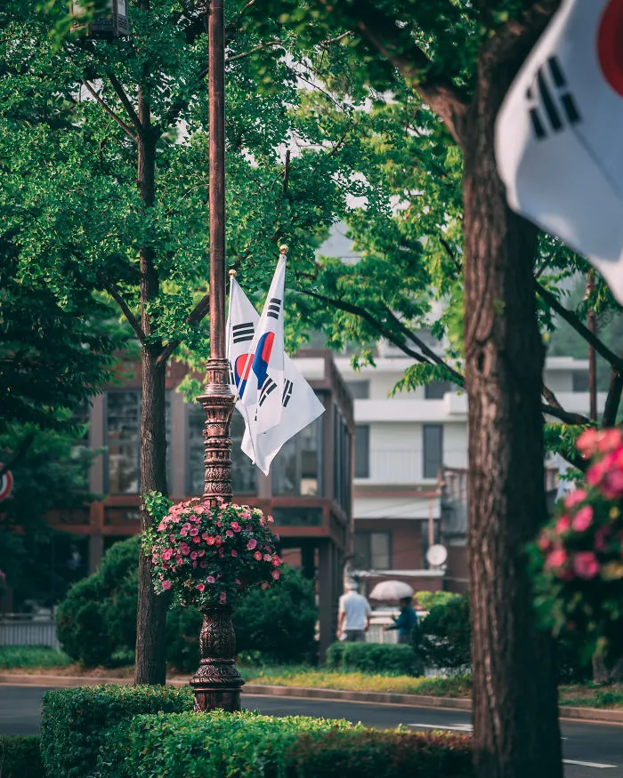 I Left A Job I Didn't Enjoy In The US And Moved To Seoul 3 Years Ago, I Fell In Love With The City (46 New Pics)
