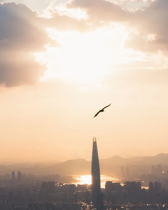 I Left A Job I Didn't Enjoy In The US And Moved To Seoul 3 Years Ago, I Fell In Love With The City (46 New Pics)