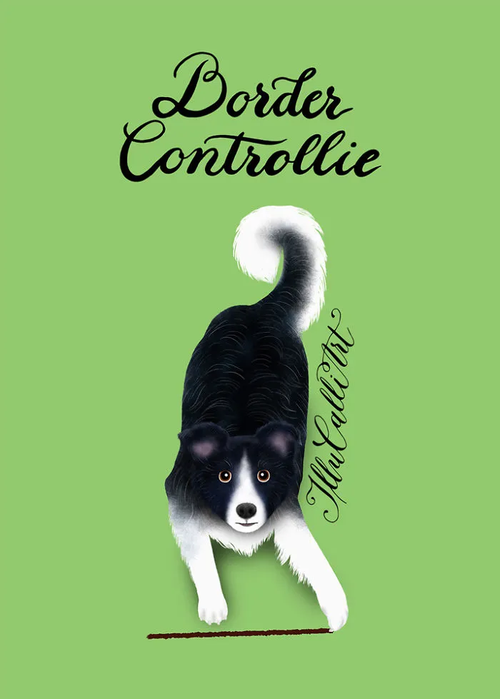Border Controllie