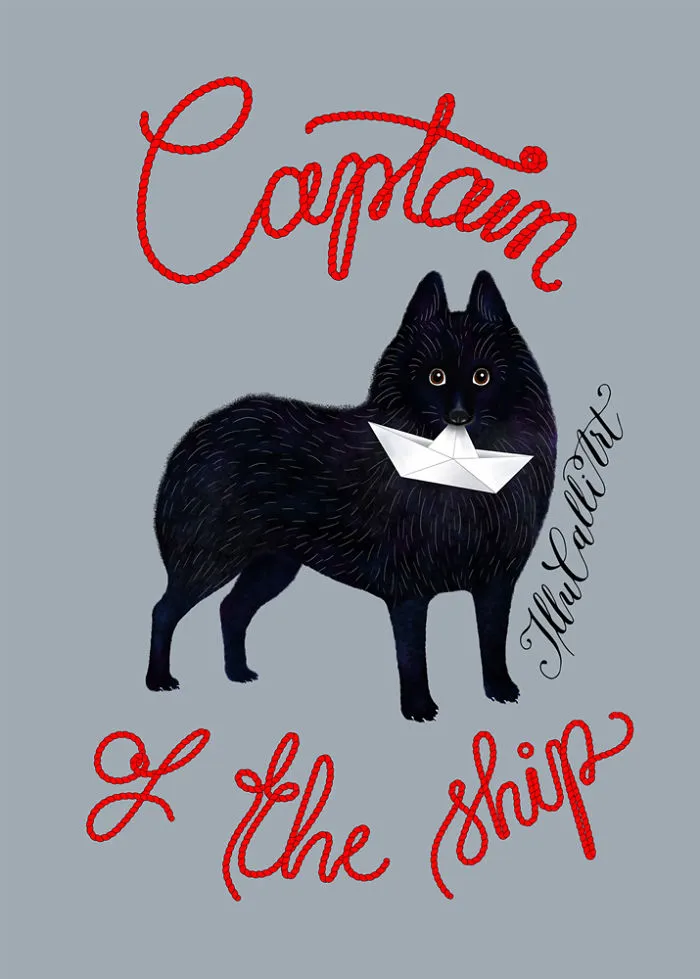 Captain Of The Ship