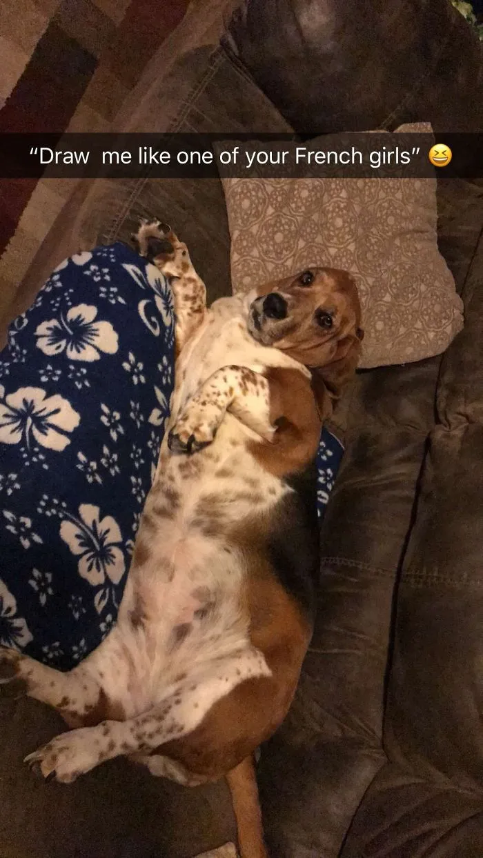 Sophie Girl