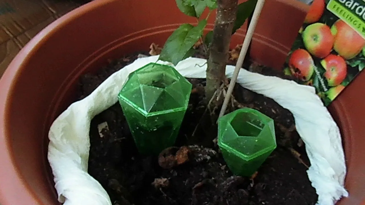 DIY Water Reserve For Your Plants