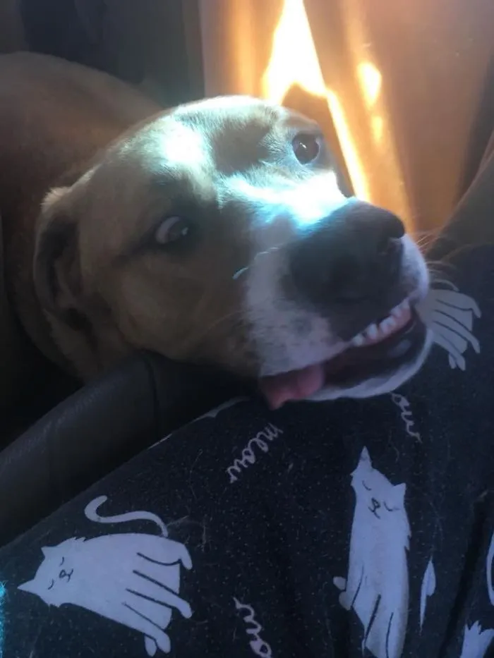 Derp Lol.