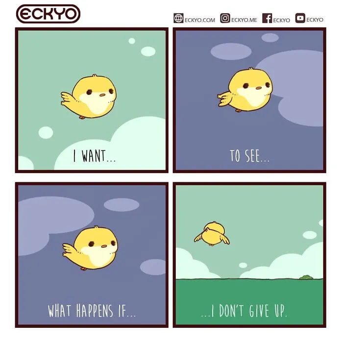 Don't Give Up