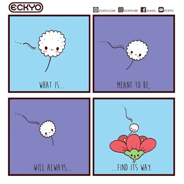 Find The Way