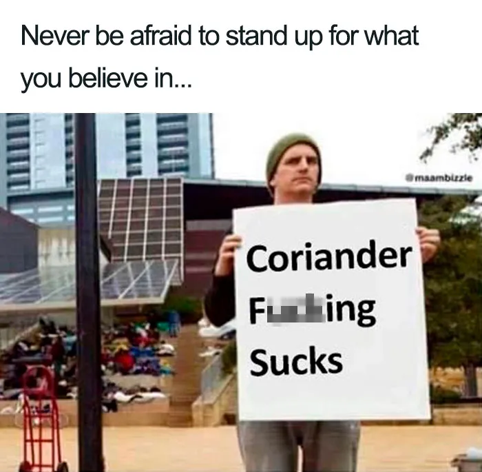 This Facebook Group Is Dedicated To Coriander (Cilantro) Haters And Here Are The 30 Funniest Images