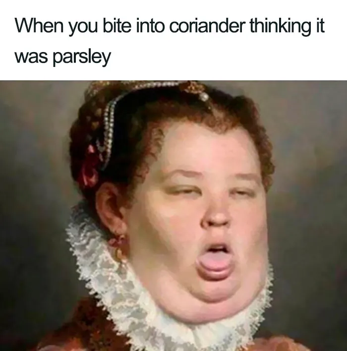 This Facebook Group Is Dedicated To Coriander (Cilantro) Haters And Here Are The 30 Funniest Images
