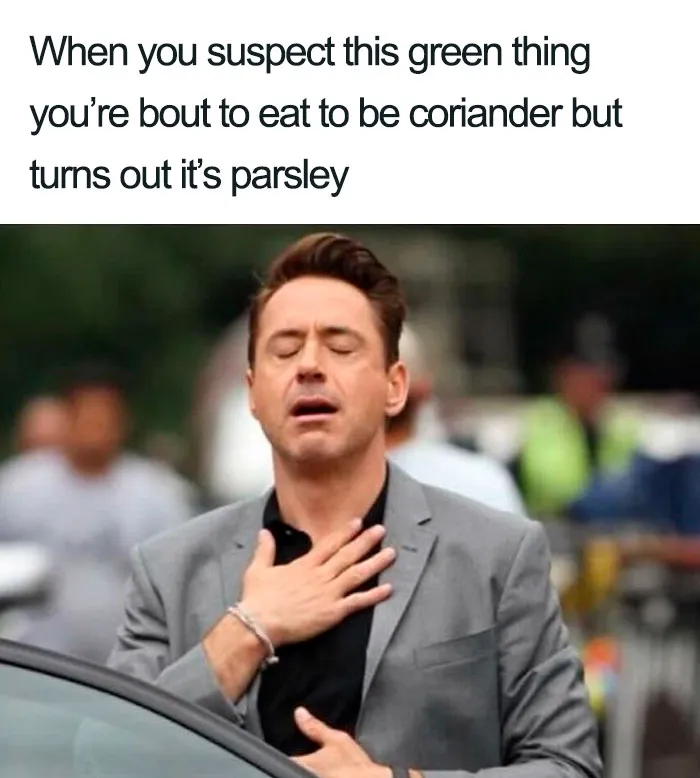 This Facebook Group Is Dedicated To Coriander (Cilantro) Haters And Here Are The 30 Funniest Images