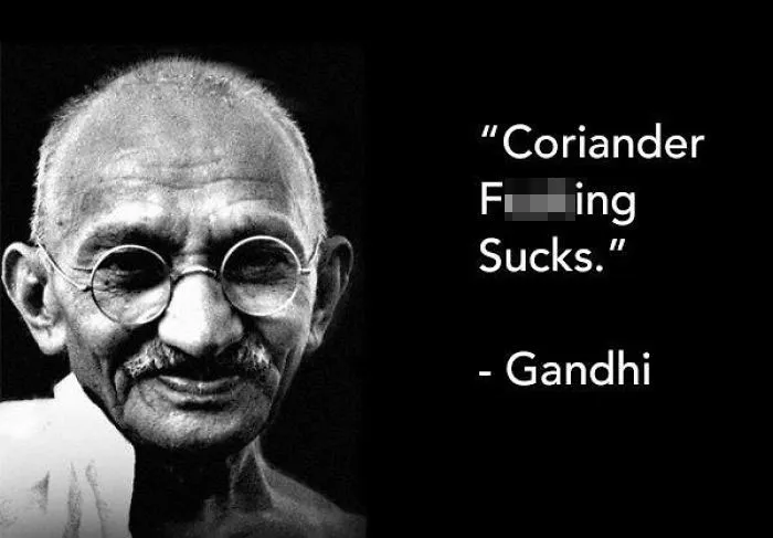 This Facebook Group Is Dedicated To Coriander (Cilantro) Haters And Here Are The 30 Funniest Images