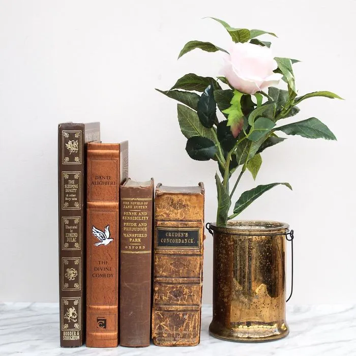 I Take Beautiful Photos Of My Book Collection To Spread Some Joy And Color