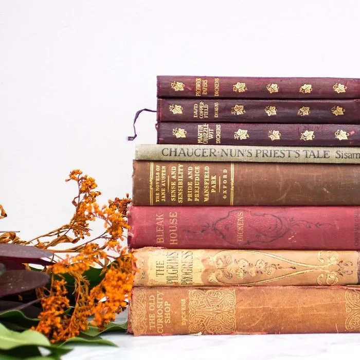 I Take Beautiful Photos Of My Book Collection To Spread Some Joy And Colour