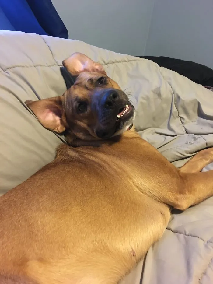 Oh! Was This Your Spot