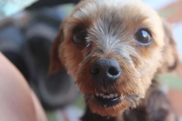 Do I Have Something In My Teeth?
