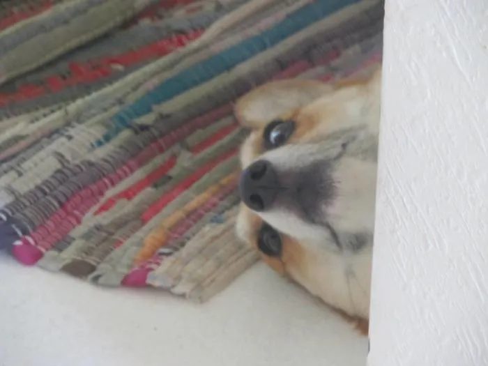 I Just Wanted A Cute Photo Of Her Sleeping. She Opened Her Eyes When She Heard The Camera