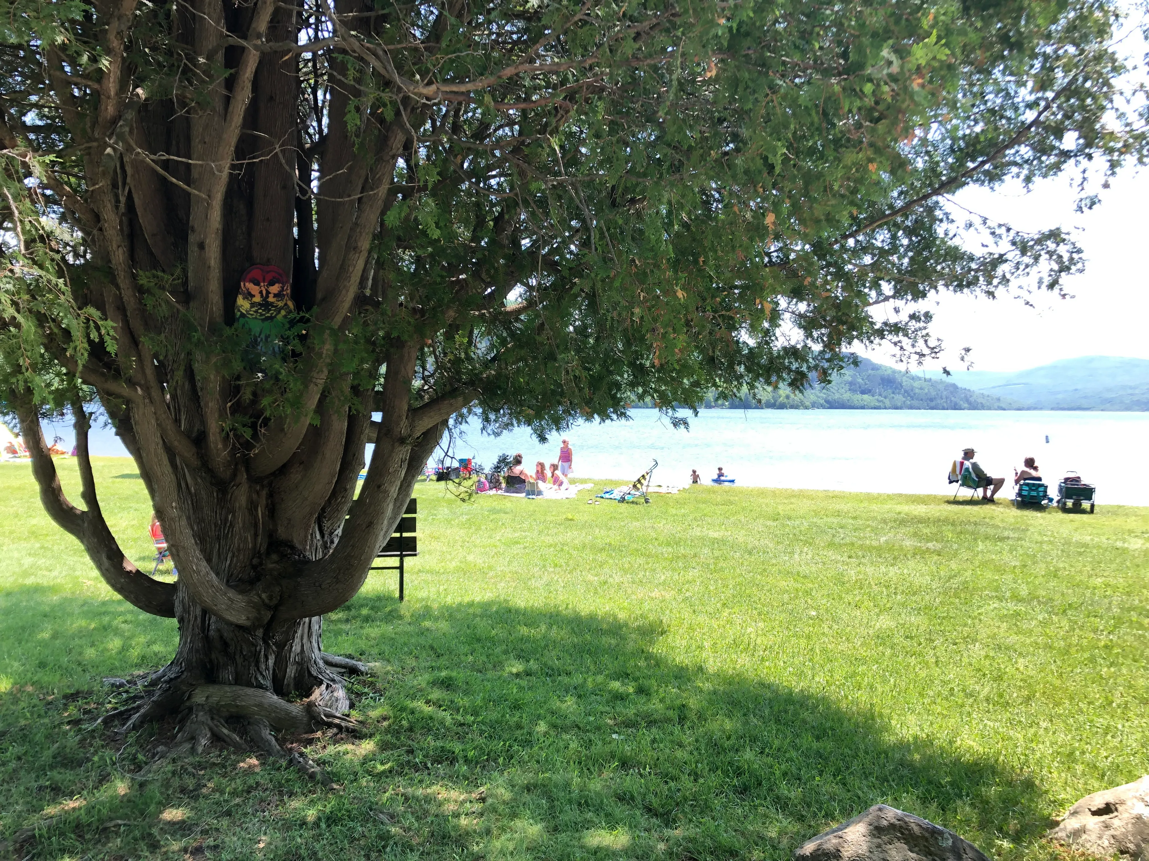 I'm Hiding An Owl Sculpture In Saint Albans, Vermont