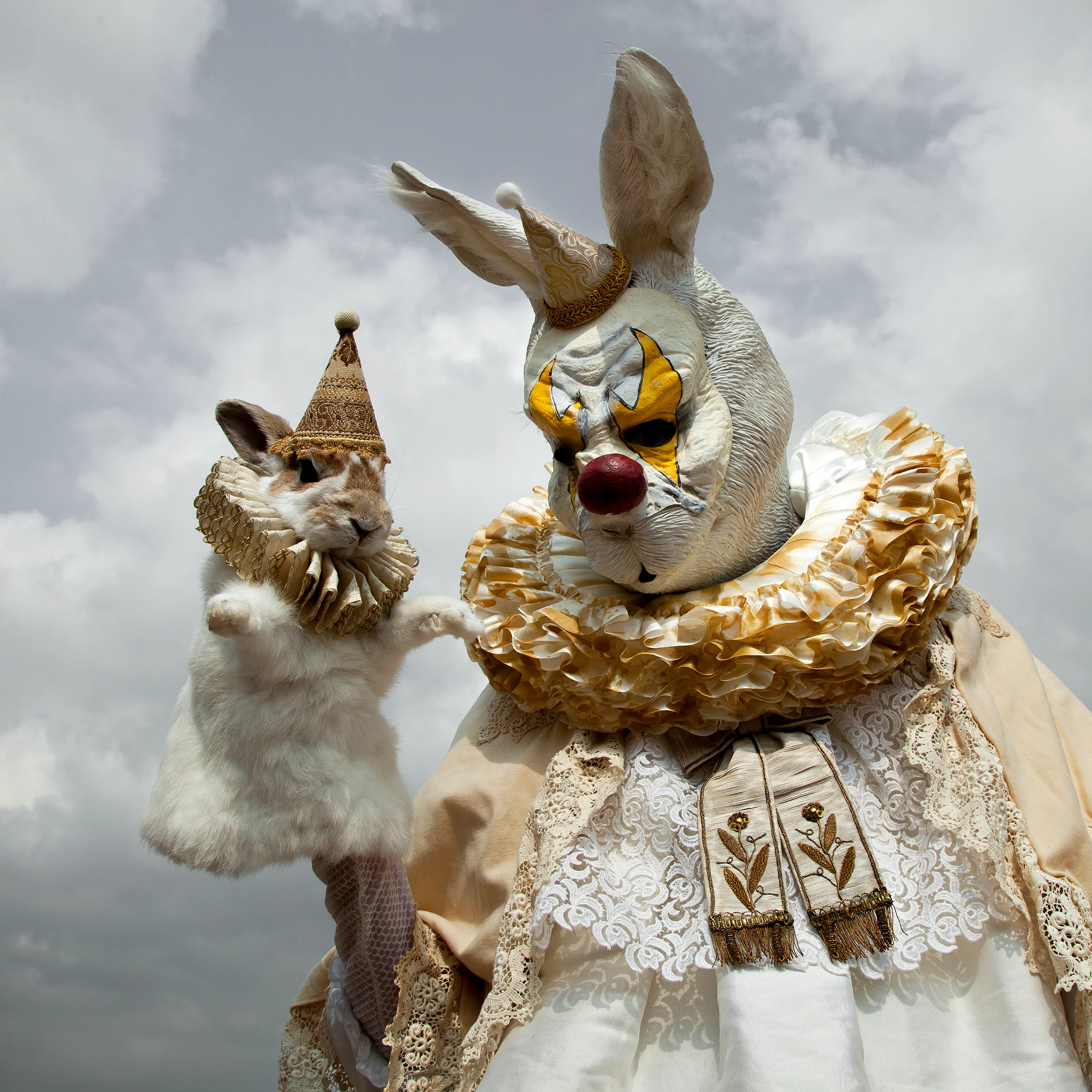 The Postmortem Puppetry Of Mothmeister, Bringing Dead Animals Back To Live.