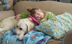 Our Labrador Dog "Hero" Saved Our Daughter Sadie's Life!