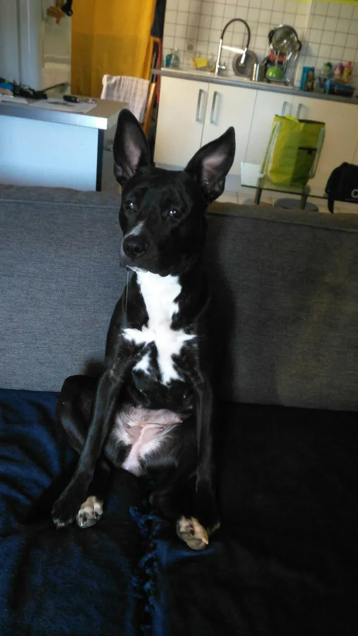 Kuma Acting Dumb When She's Being Asked If She's The Culprit ^^