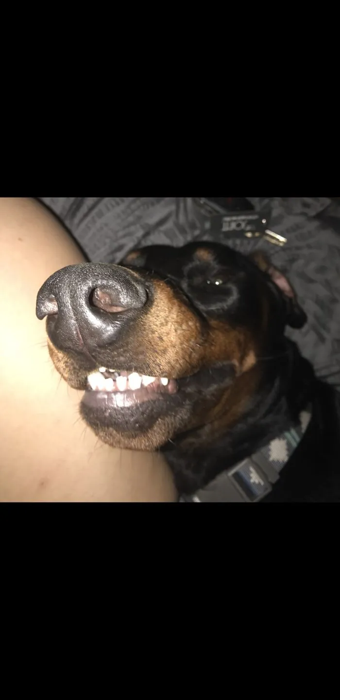 Say Cheese