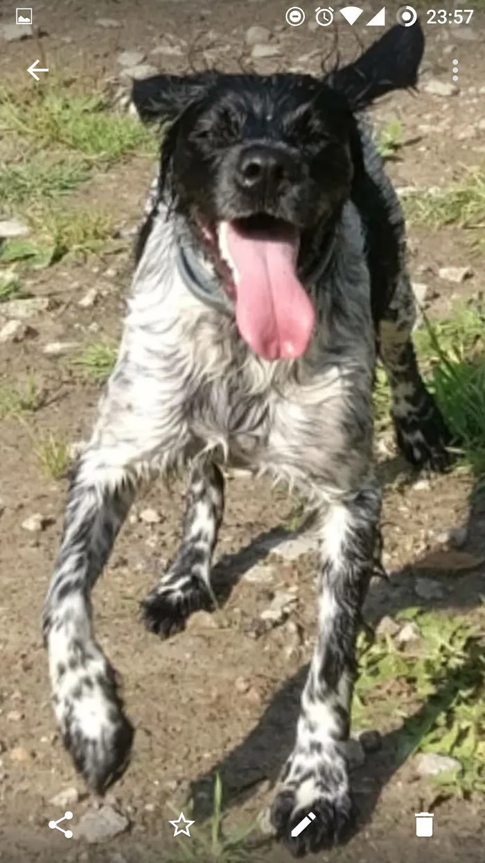 She Was Having Some Wet Fun