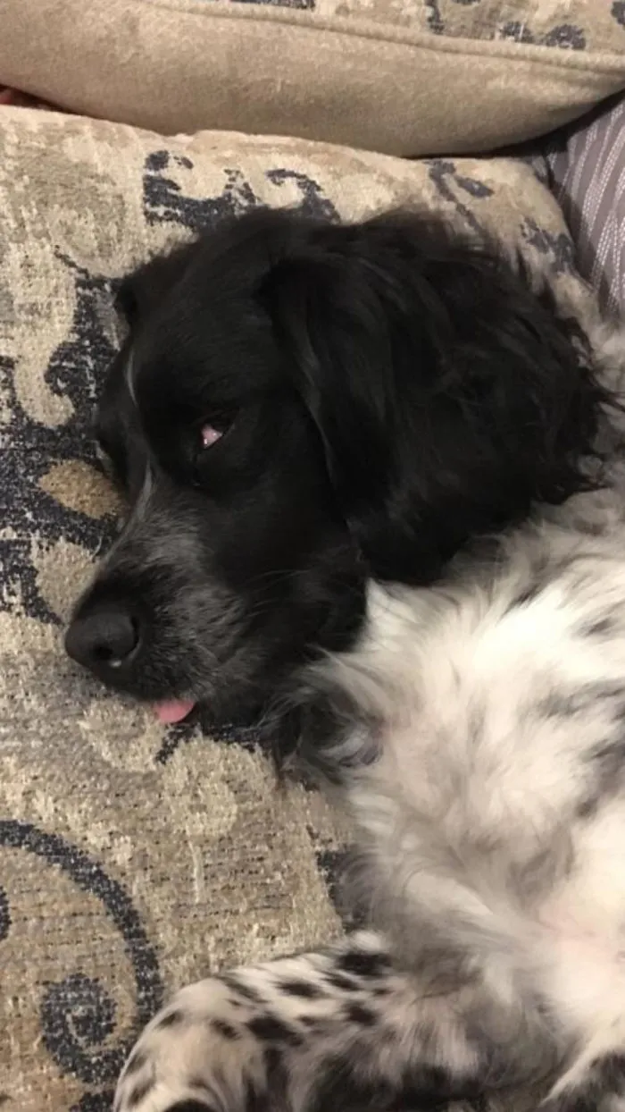 Sleep Face