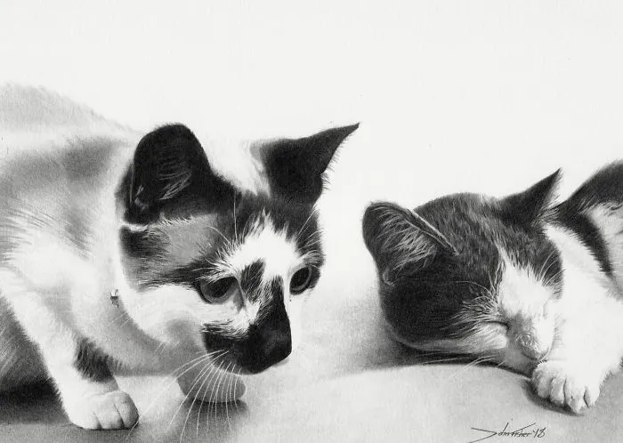 Alice And Smokie