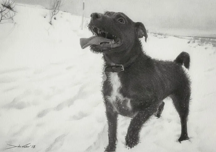 Snowy Fun