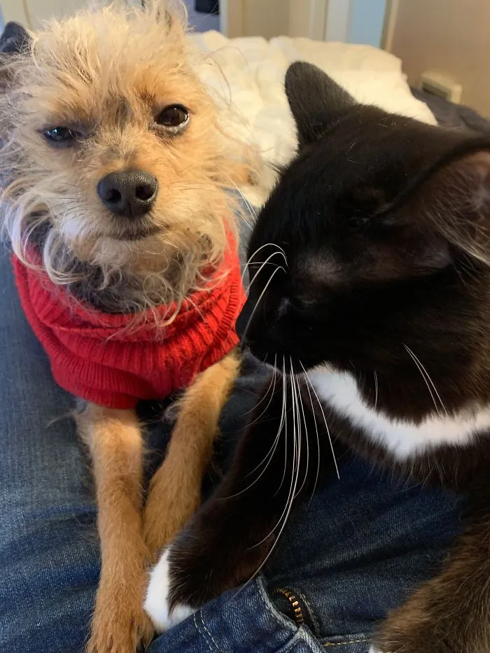 Huey (On The Left) Bonding With His Brother Gary