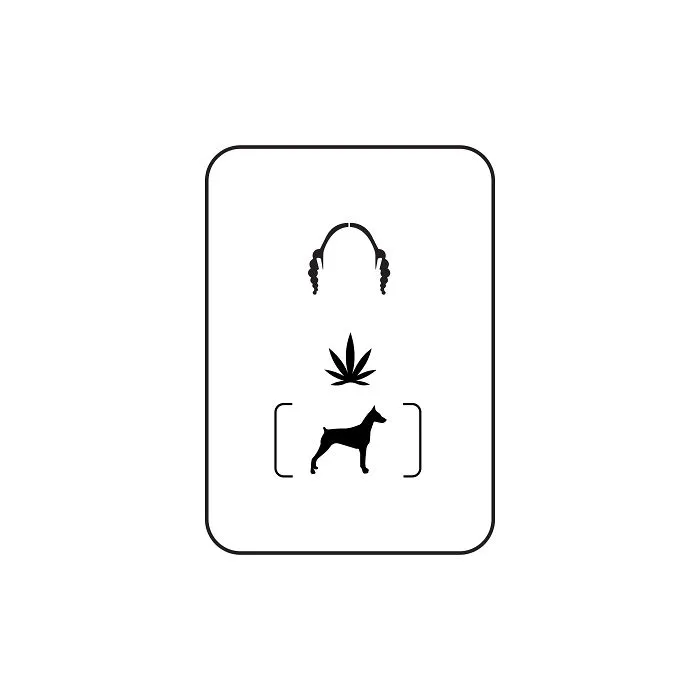 Can You Name A Person? Level – Easy