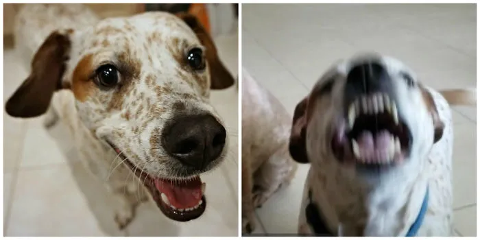 Willie - Online Dating Pic vs. In Real Life Pic