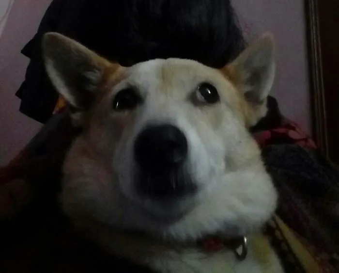 My Furry Baby!