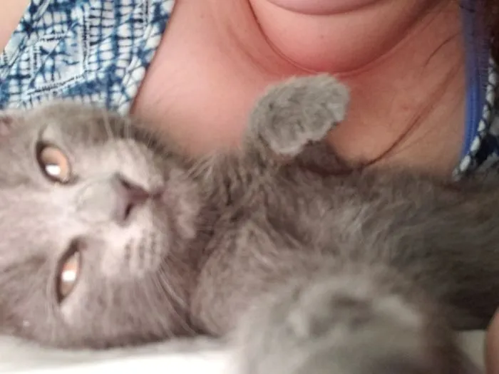 Selfie