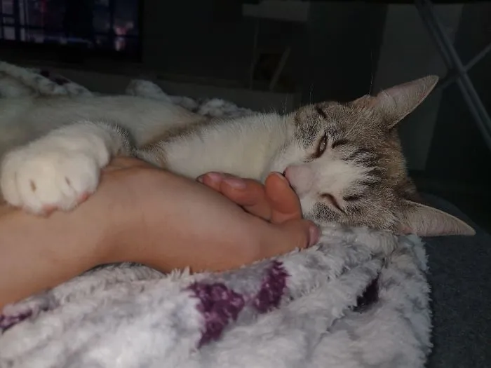 Creepy Sleepy