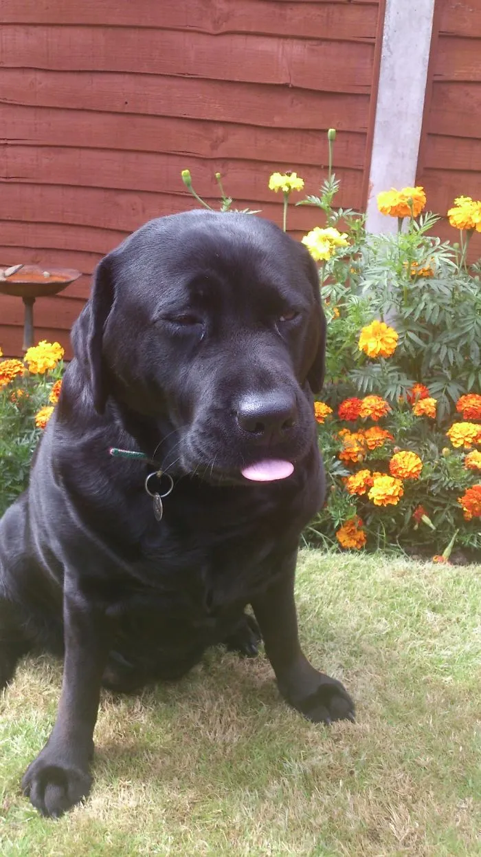 😜😂🐾