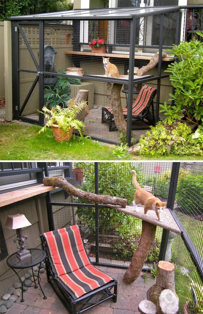Cat Patios, Known As Catios, Are The Latest Way To Spoil Your Beloved Kitty (30 Pics)