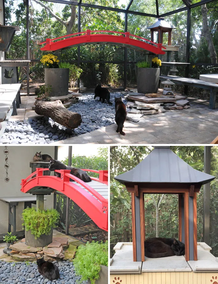 Cat Patios, Known As Catios, Are The Latest Way To Spoil Your Beloved Kitty (30 Pics)
