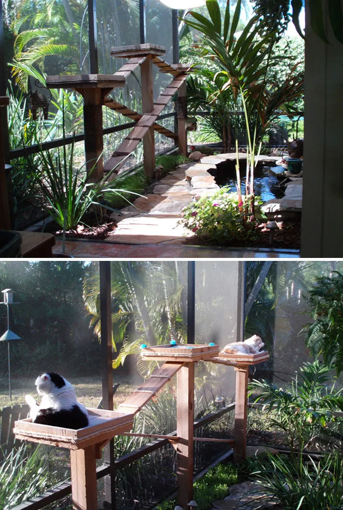 Cat Patios, Known As Catios, Are The Latest Way To Spoil Your Beloved Kitty (30 Pics)