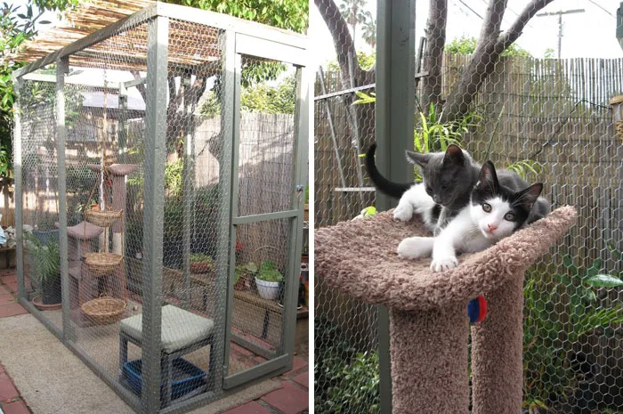 Cat Patios, Known As Catios, Are The Latest Way To Spoil Your Beloved Kitty (30 Pics)