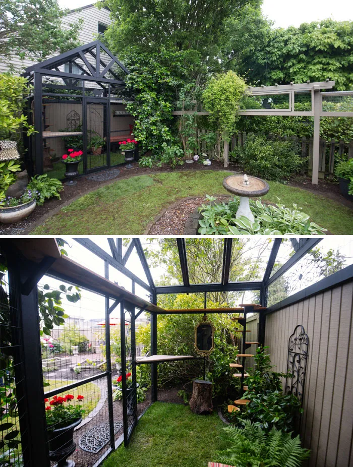 Cat Patios, Known As Catios, Are The Latest Way To Spoil Your Beloved Kitty (30 Pics)