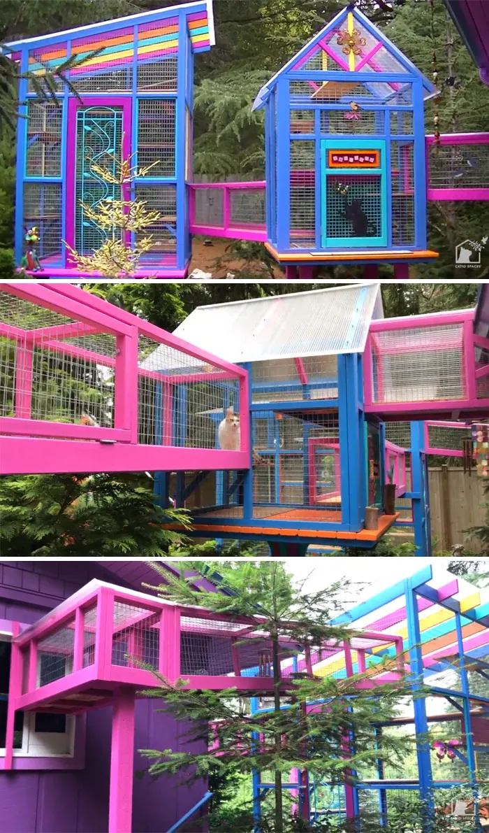 Cat Patios, Known As Catios, Are The Latest Way To Spoil Your Beloved Kitty (30 Pics)