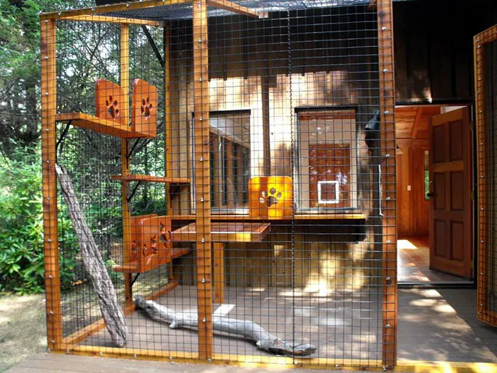 Cat Patios, Known As Catios, Are The Latest Way To Spoil Your Beloved Kitty (30 Pics)